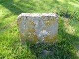 image of grave number 787589